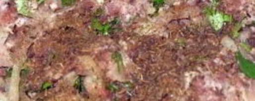 Шаг 1: самсы с зирой