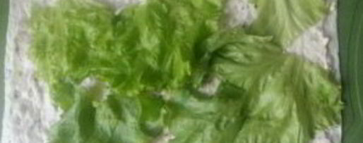 Шаг 10: шаурмы по-домашнему с мясом