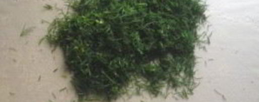 Шаг 3: шаурмы в лаваше с курицей