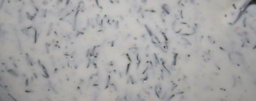 Шаг 1: бородинских сухариков со сметанно-кефирным соусом с чесноком