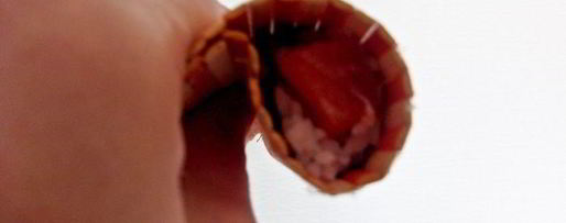 Шаг 2: двойного суши-ролл инь-янь