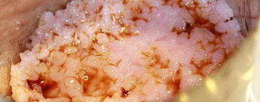 Шаг 7: салатных суш башенки