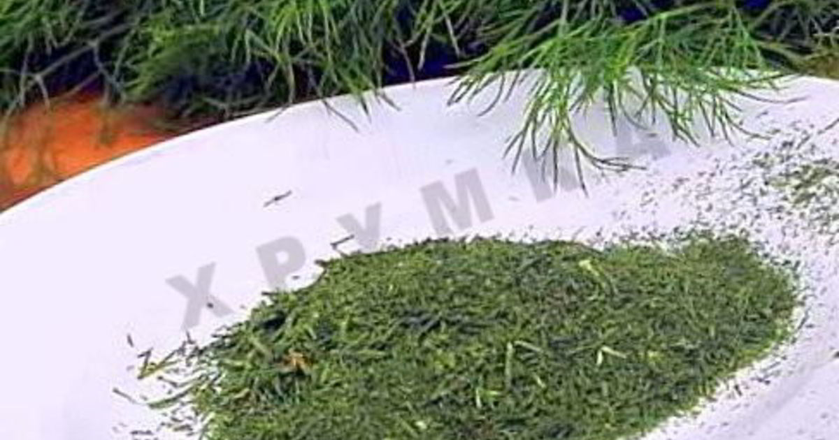 Укроп сушеный. Укроп на зиму сушить. Сушеный укроп в банке. Укроп сушеный для засолки. Как сушить укроп в дегидраторе.