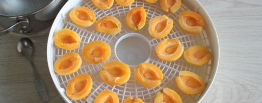 Шаг 6: сушки абрикосов в электросушилке