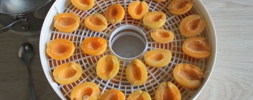 Шаг 7: сушки абрикосов в электросушилке