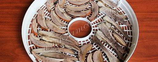 Шаг 5: сушки грибов в сушилке