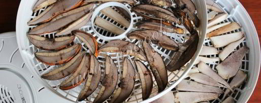 Шаг 6: сушки грибов в сушилке