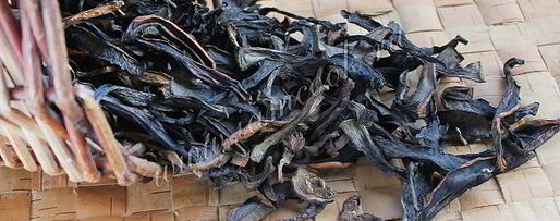 Шаг 9: сушки грибов в сушилке