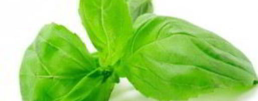 Шаг 3: румяного сэндвича с помидором