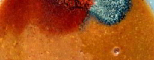 Шаг 2: сэндвича барбекю со свининой