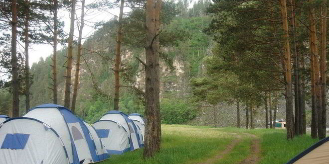 Рецепт сэндвича с грибами и курицей