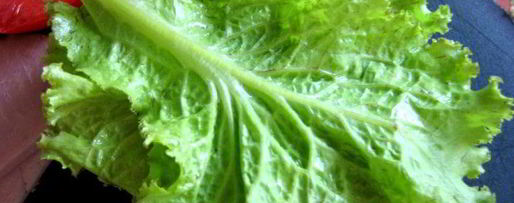 Шаг 17: сэндвича с ветчиной и салями