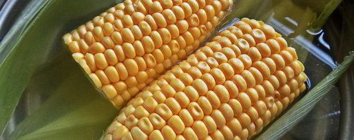 Шаг 16: сэндвичей из баклажанов