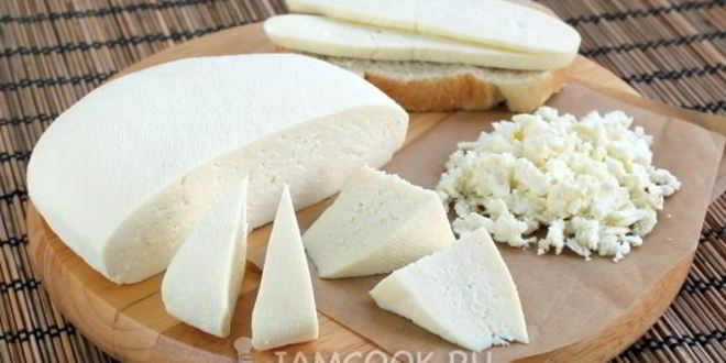 Рецепт сыра из козьего молока