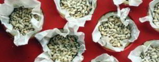 Шаг 2: тарталеток с морковью сладкие