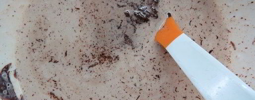 Шаг 17: шоколадна-каштанового тарт