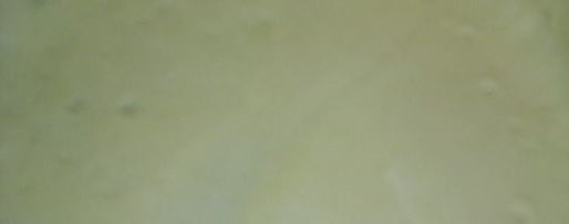 Шаг 3: сырно-творожного тарт с весенней зеленью