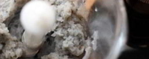 Шаг 1: креветочных тостов