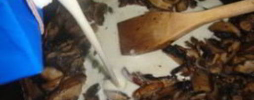 Шаг 4: тостов с грибами