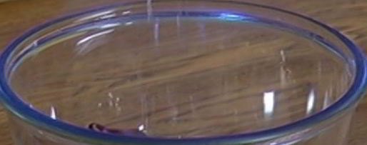 Шаг 5: жареных грибов на тостах