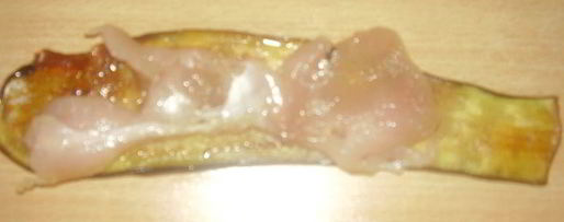 Шаг 3: улиток из баклажанов и кабачков