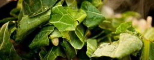 Шаг 2: яичницы с брынзой