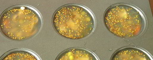 Шаг 7: грибного заливного постного