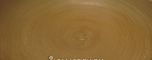 Шаг 8: заливного из говяжьего языка