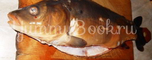 Шаг 1: заливного из карпа с буряком