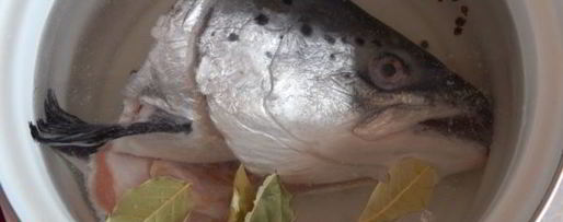 Шаг 2: заливного из красной рыбы