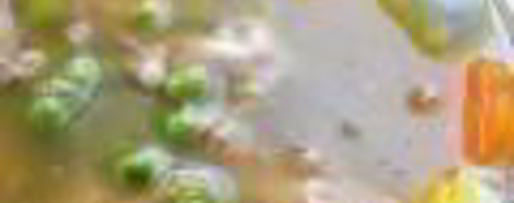 Шаг 3: заливного из куриных грудок