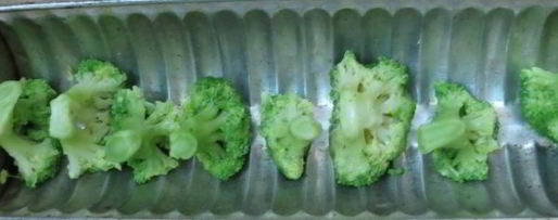 Шаг 13: заливного из курицы с брокколи