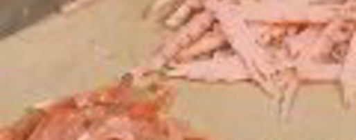 Шаг 2: заливного из мясной нарезки