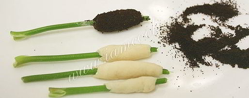 Шаг 13: заливного из рыбы