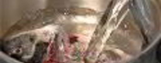 Шаг 1: заливного из сибаса с красной икрой