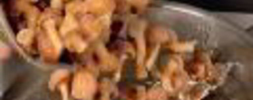 Шаг 1: заливного из свиного языка с опятами