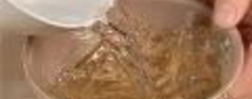 Шаг 2: заливного из свиного языка с опятами