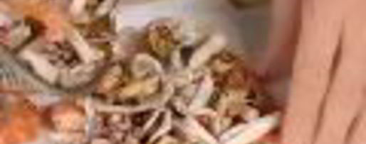 Шаг 4: заливного морского дна