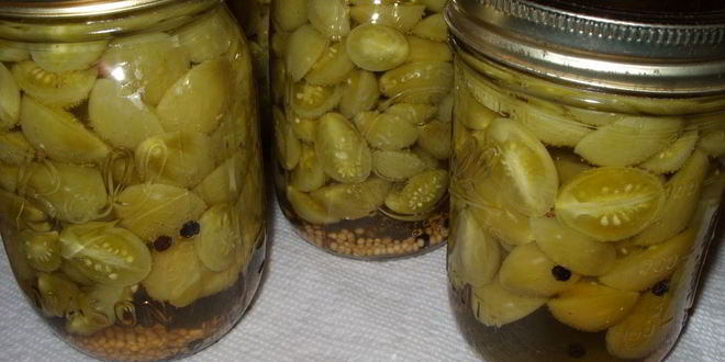 Рецепт зеленых помидоров соленых