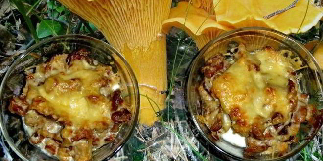 Рецепт жульена из лисичек