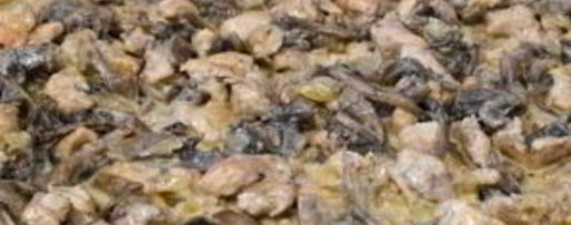 Шаг 6: жульена в съедобных кокотницах