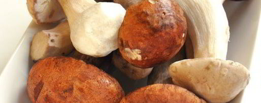 Шаг 2: жюльена из лесных грибов