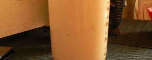 Шаг 25: жюльена с куриным филе и грибами