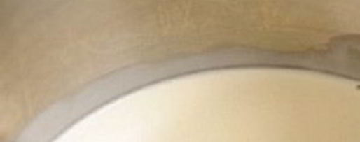 Шаг 10: жюльена с курицей и грибами