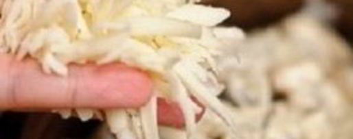 Шаг 14: жюльена с курицей и грибами